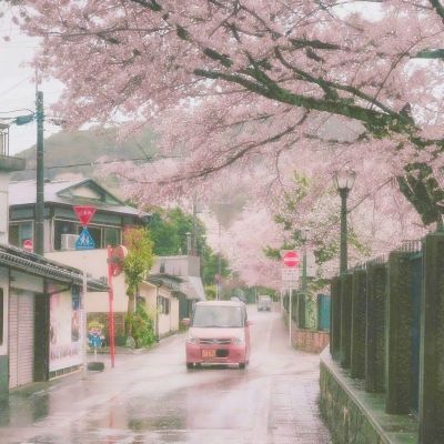 京西古道边：山上的樱桃熟了，游客又回来了